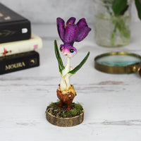 Ciri the Crocus Faerie