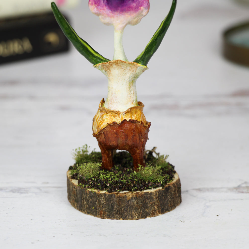 Ciri the Crocus Faerie