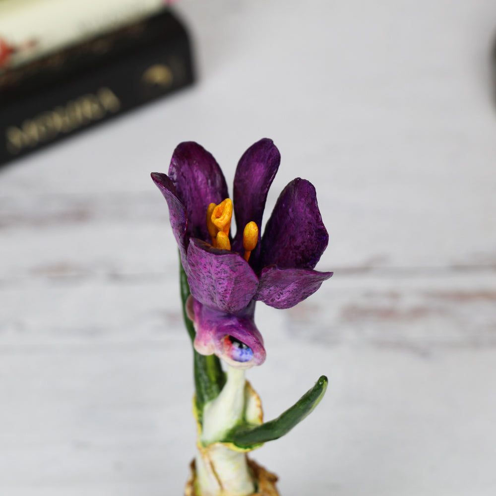 Ciri the Crocus Faerie