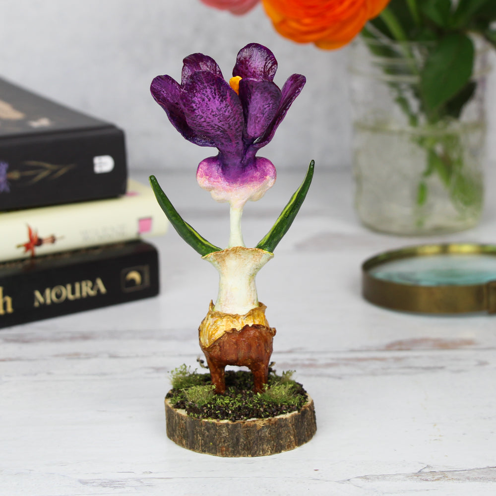 Ciri the Crocus Faerie