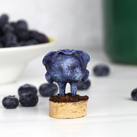 Bluebini the Blueberry Faerie