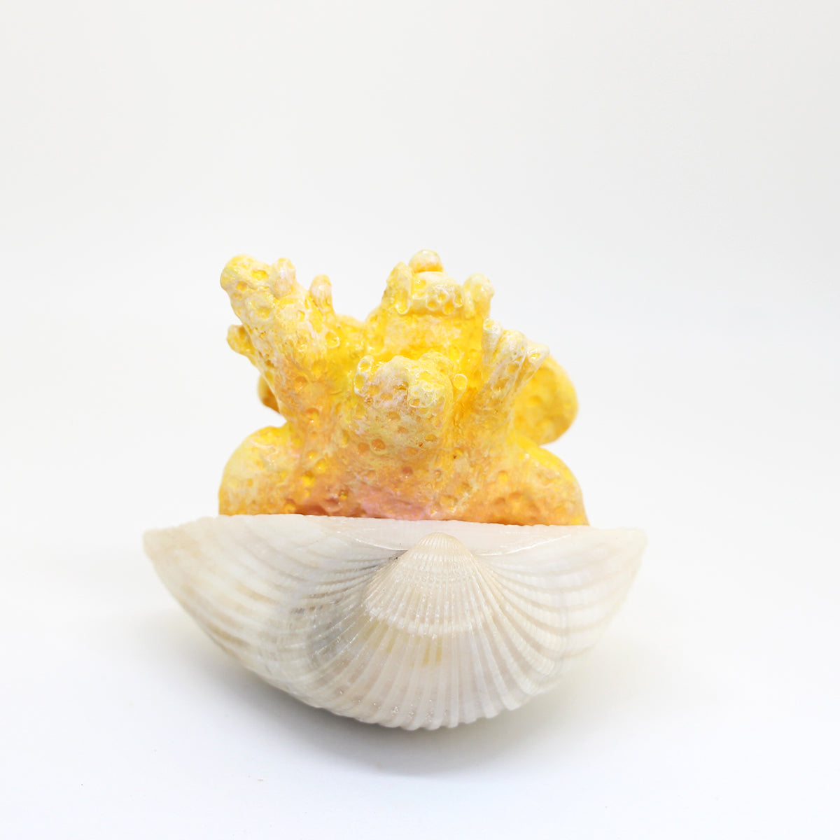 Corly the Coral Faerie