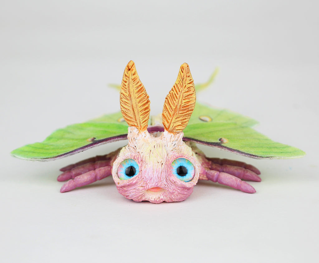 Rosy the Faerie Rosy Maple Moth – Jackie Harder Art