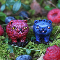 Discovery Box: Bearies