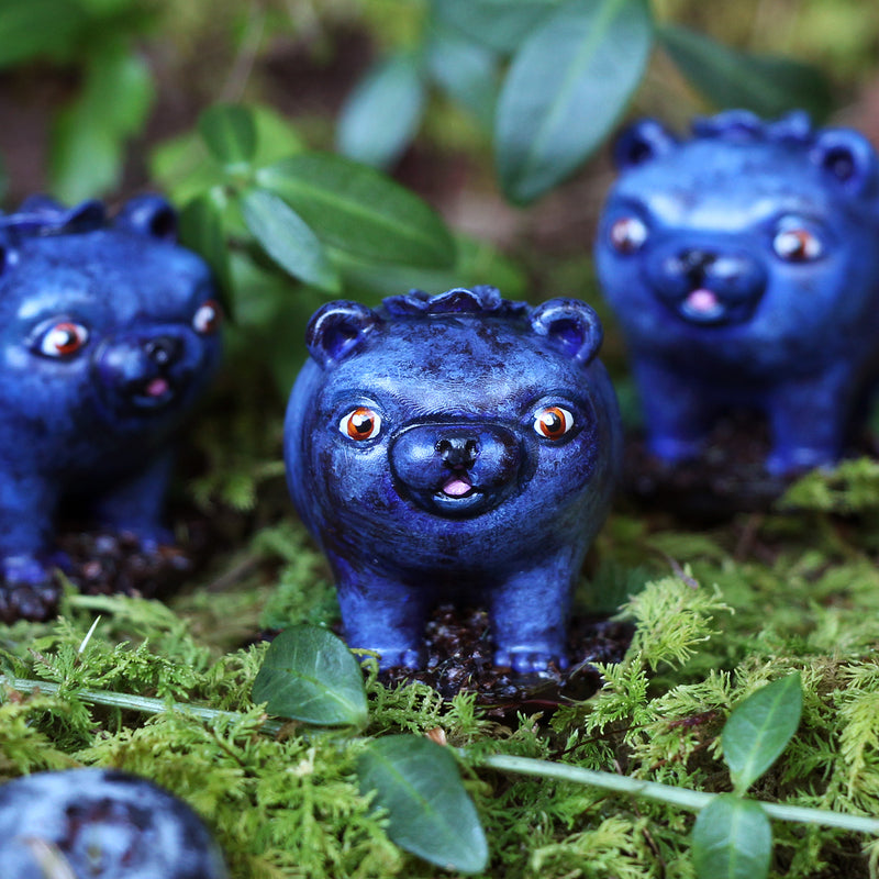 Discovery Box: Bearies