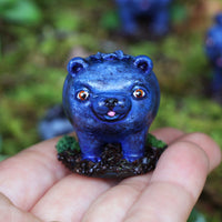 Discovery Box: Bearies