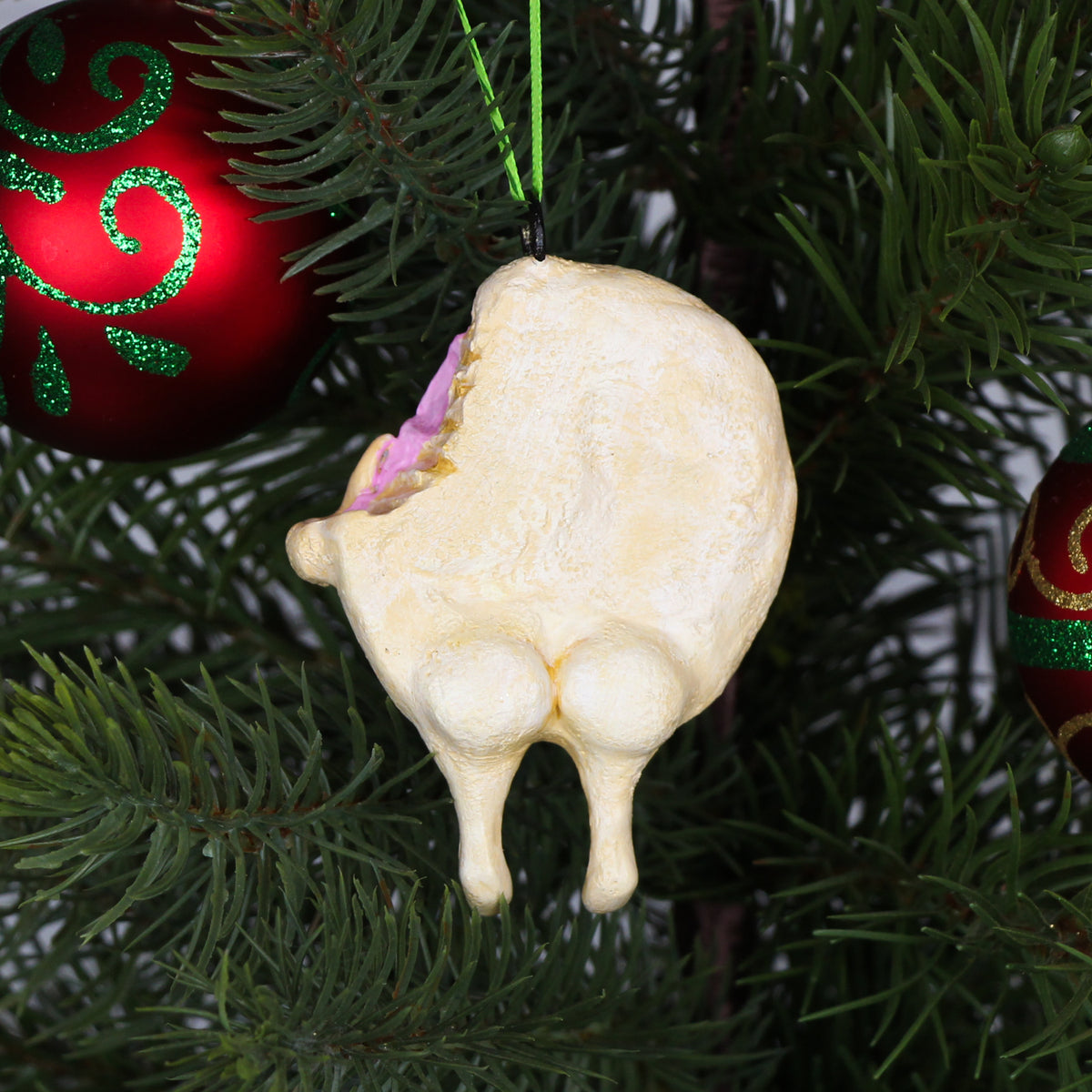 Merry the Sugar Cookie Ornament