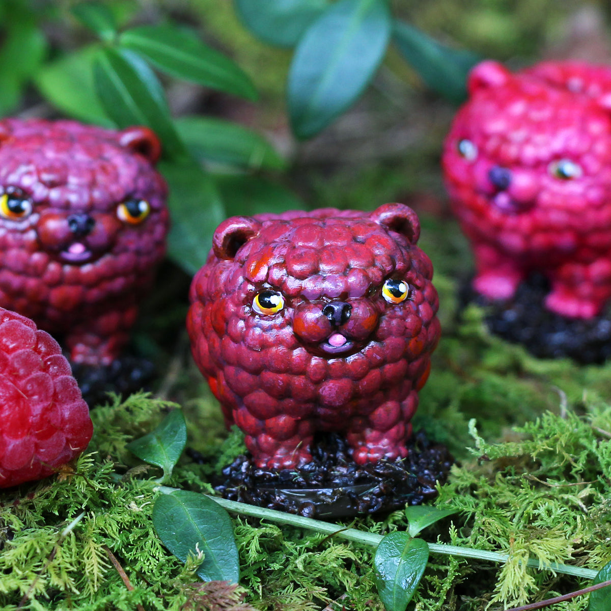Discovery Box: Bearies