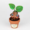 Peppermint Seedling #1357