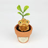 Pumpkin Seedling #1802