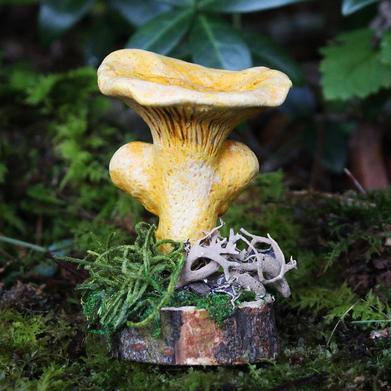 Tharellus the Chanterelle Mushling