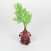 Carotene the Faerie Baby Carrot