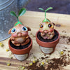Faerie Seedling Blind Box