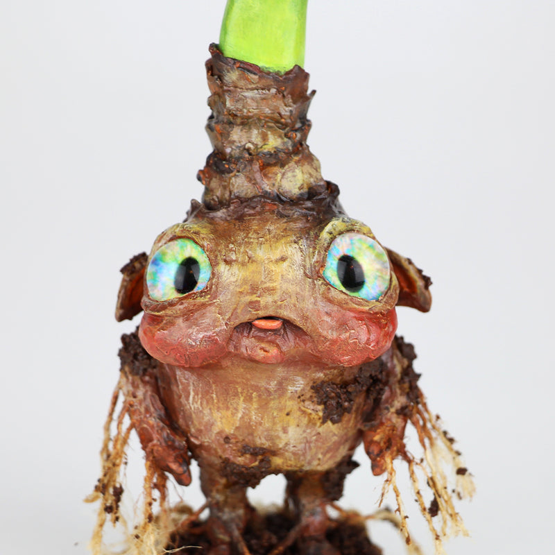 Dardien the Faerie Bulb