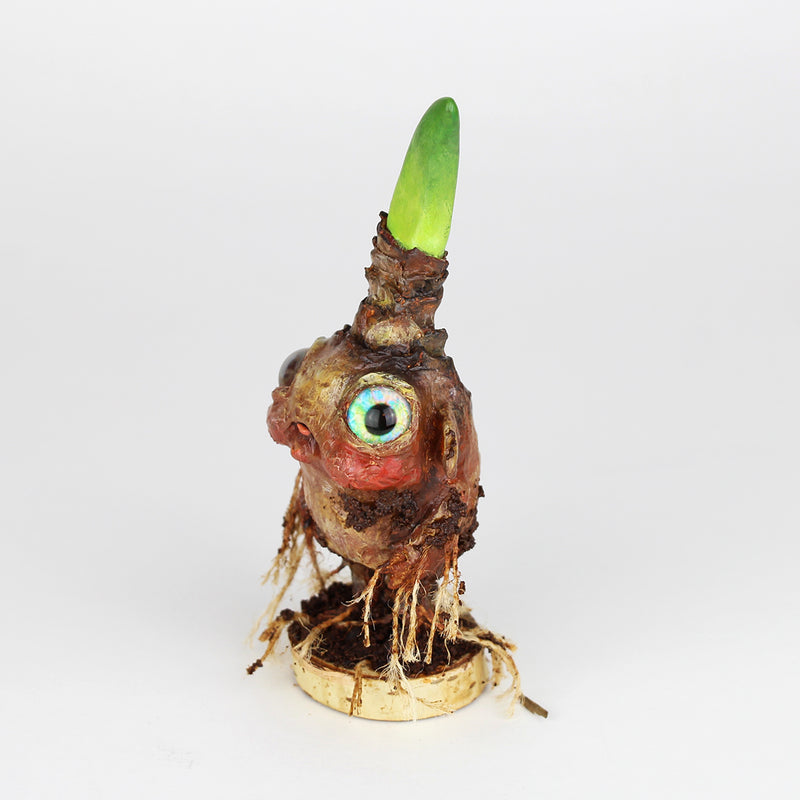 Dardien the Faerie Bulb