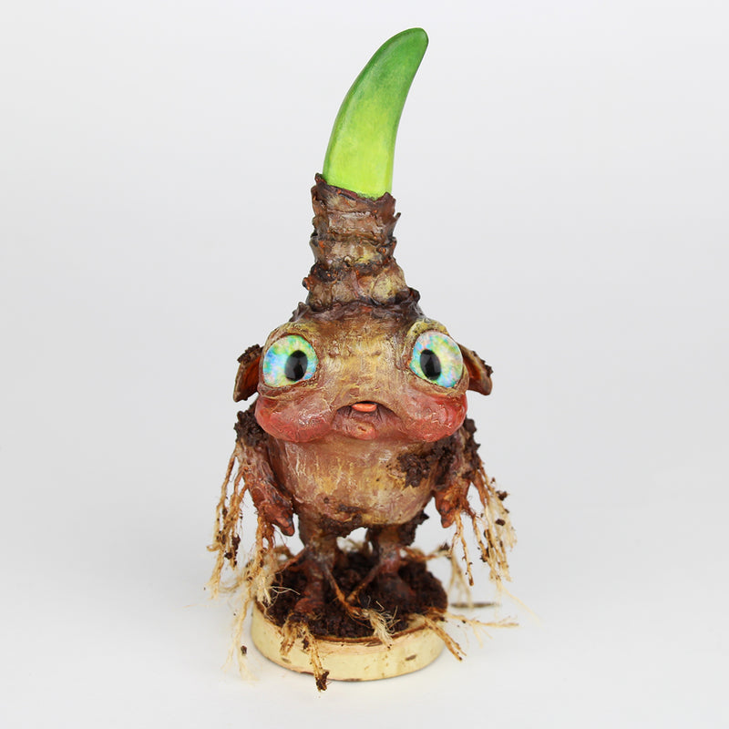 Dardien the Faerie Bulb