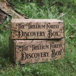 Discovery Box: Acorn Sprites