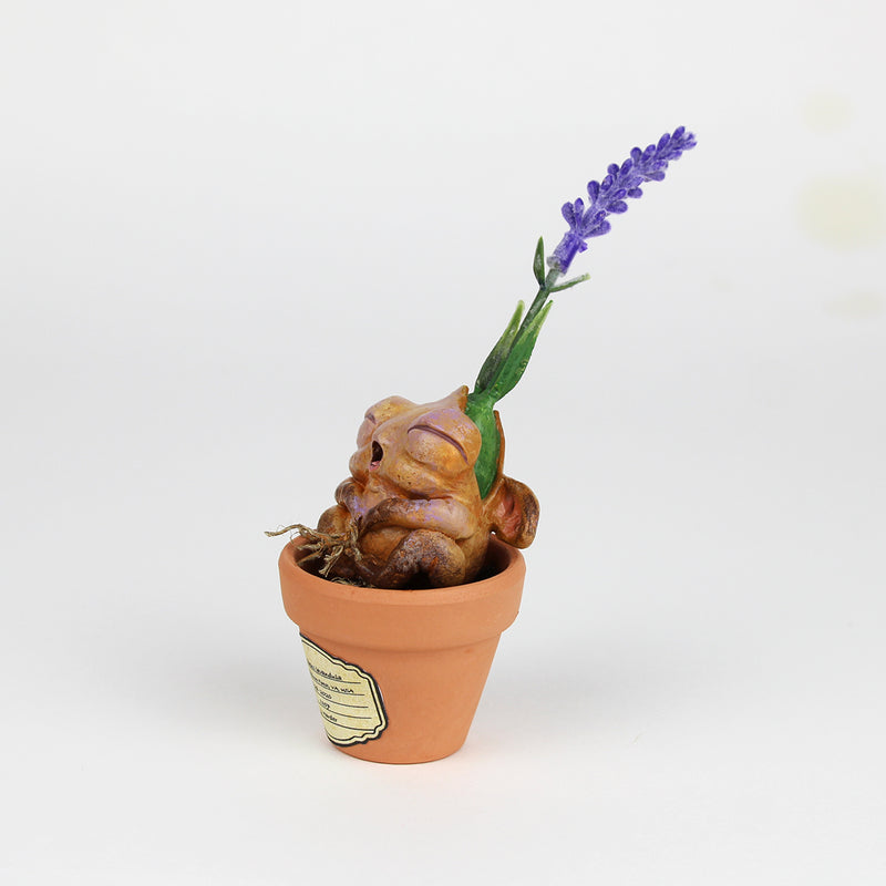 Laverly the Lavender Seedling