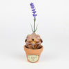 Lavoy the Lavender Seedling