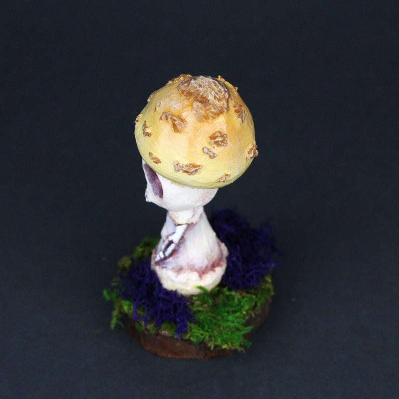 Letum the Death Cap Mushling