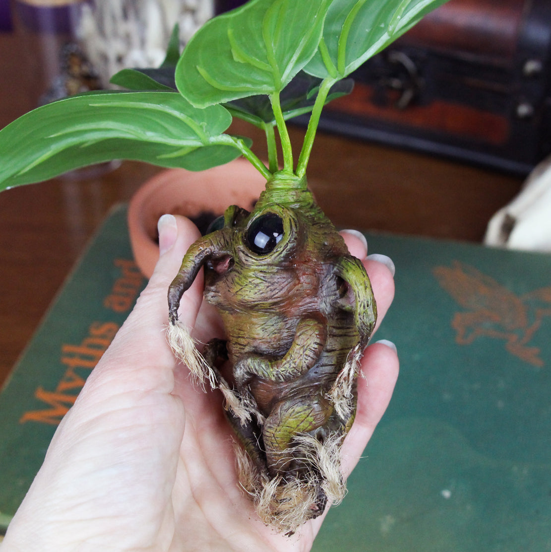 Mandranora the Mandrake Root – Jackie Harder Art