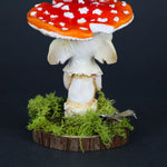 Melodor the Elder Amanita Mushling