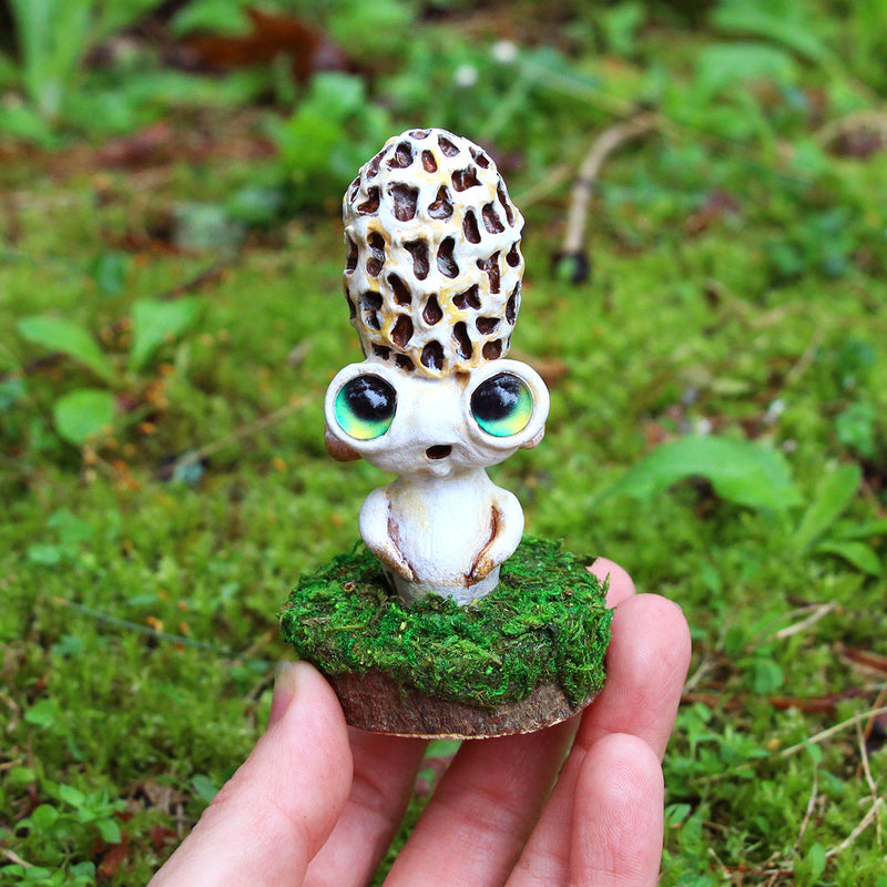 Morchellevin the Morel Mushling