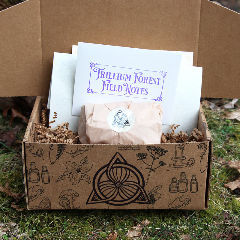 Discovery Box: Stonefolk
