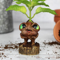 Pimmy the Peppermint Seedling