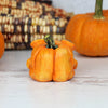 Frumpkin the Pumpkin Faerie
