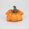 Pinkin the Faerie Pumpkin