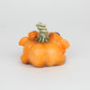 Punter the Faerie Pumpkin