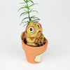 Rosilyn the Rosemary Seedling