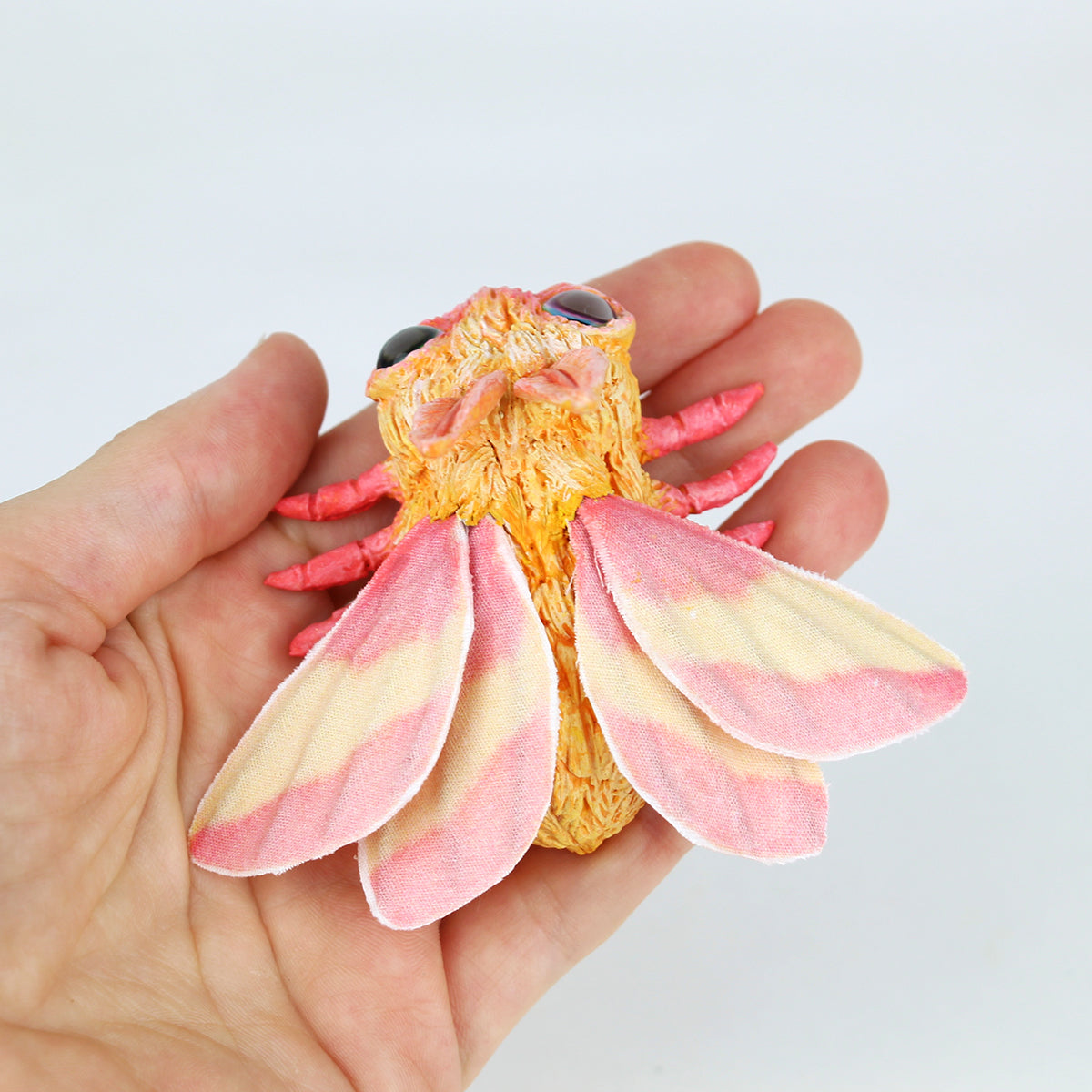 Rosy the Faerie Rosy Maple Moth