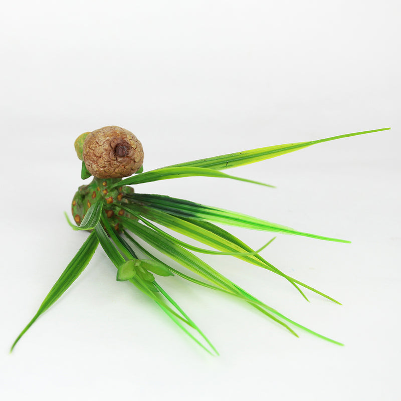 Sargi the Stray Sod