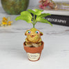 Peppermint Seedling Pre-Order