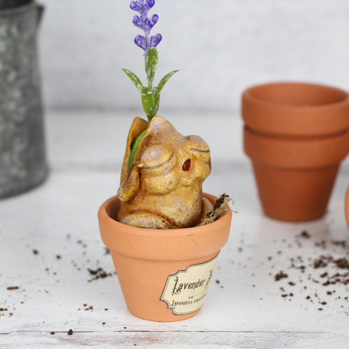 Sleepy the Lavender Seedling