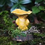 Canthy the Chanterelle Mushling