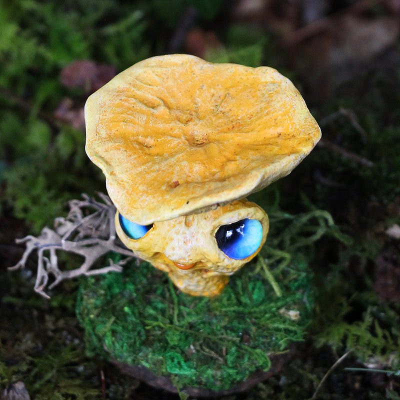 Canthy the Chanterelle Mushling