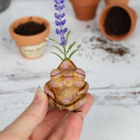 Snoozy the Lavender Seedling