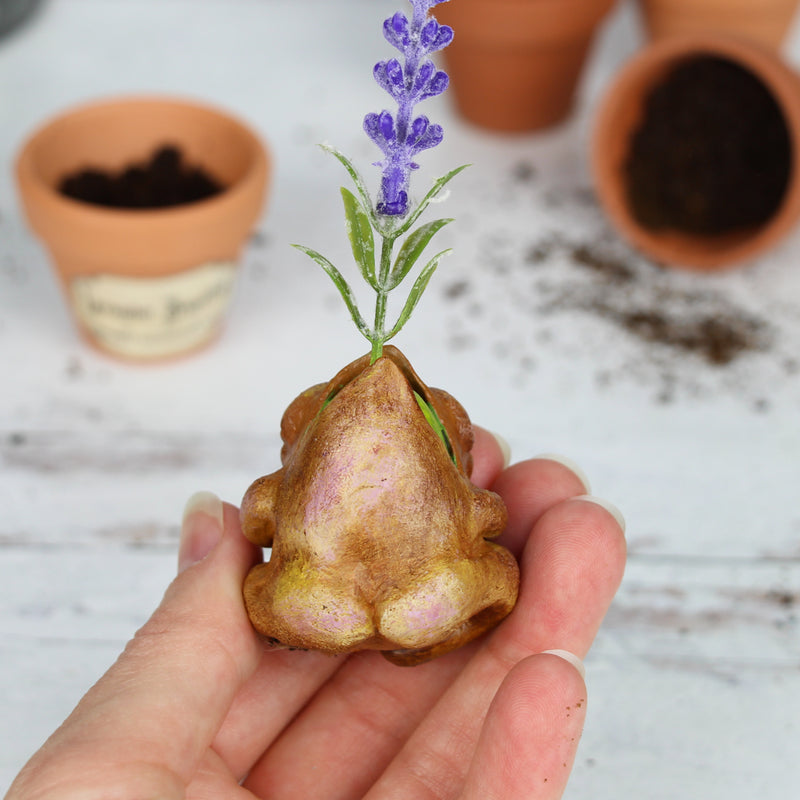 Snoresy the Lavender Seedling