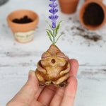 Snoresy the Lavender Seedling