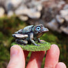 Discovery Box: Tree-Frogs