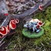 Discovery Box: Tree-Frogs