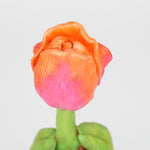Tuloutha the Tulip Faerie