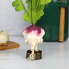 Turnipini the Turnip Faerie