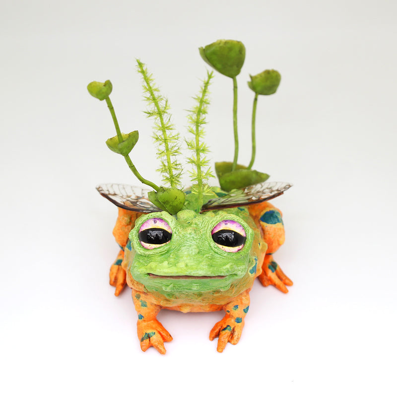 Toavis the Faerie Toad