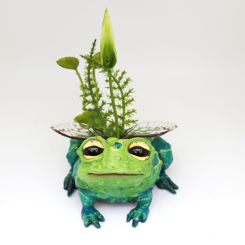 Toamithy the Faerie Toad