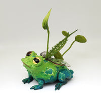 Toamithy the Faerie Toad