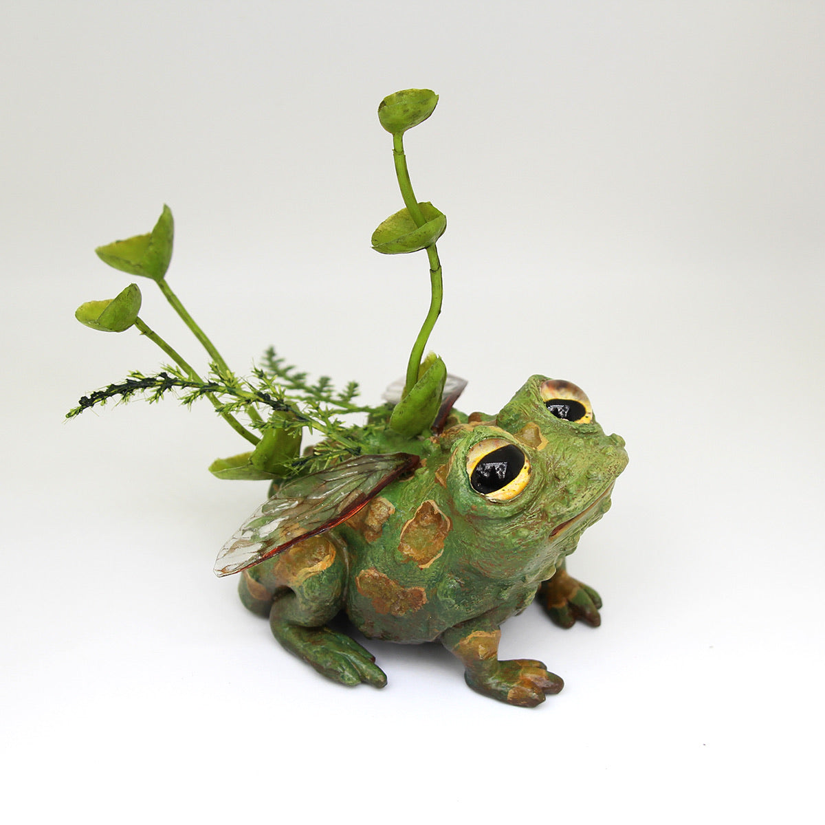 Toaby the Faerie Toad – Jackie Harder Art